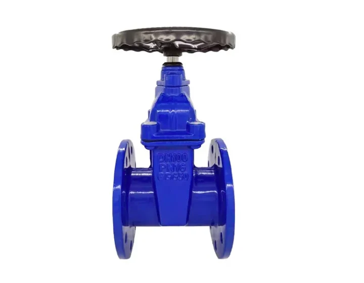 Resilent Gate Valve NRS